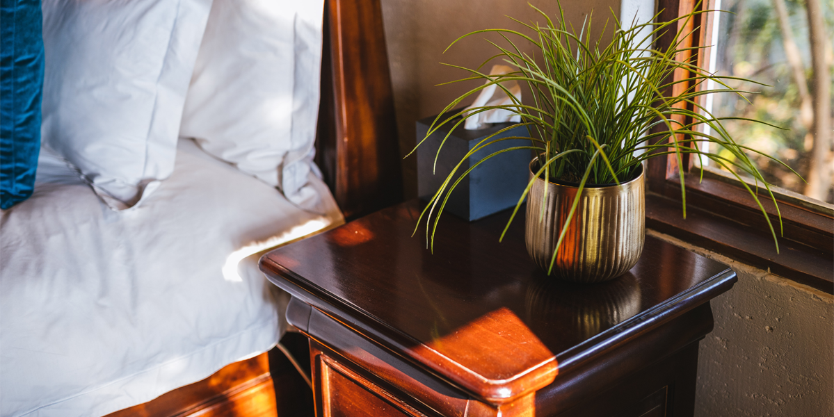 Truths Behind Lifestyle: Sunlight, Sleep and Breath