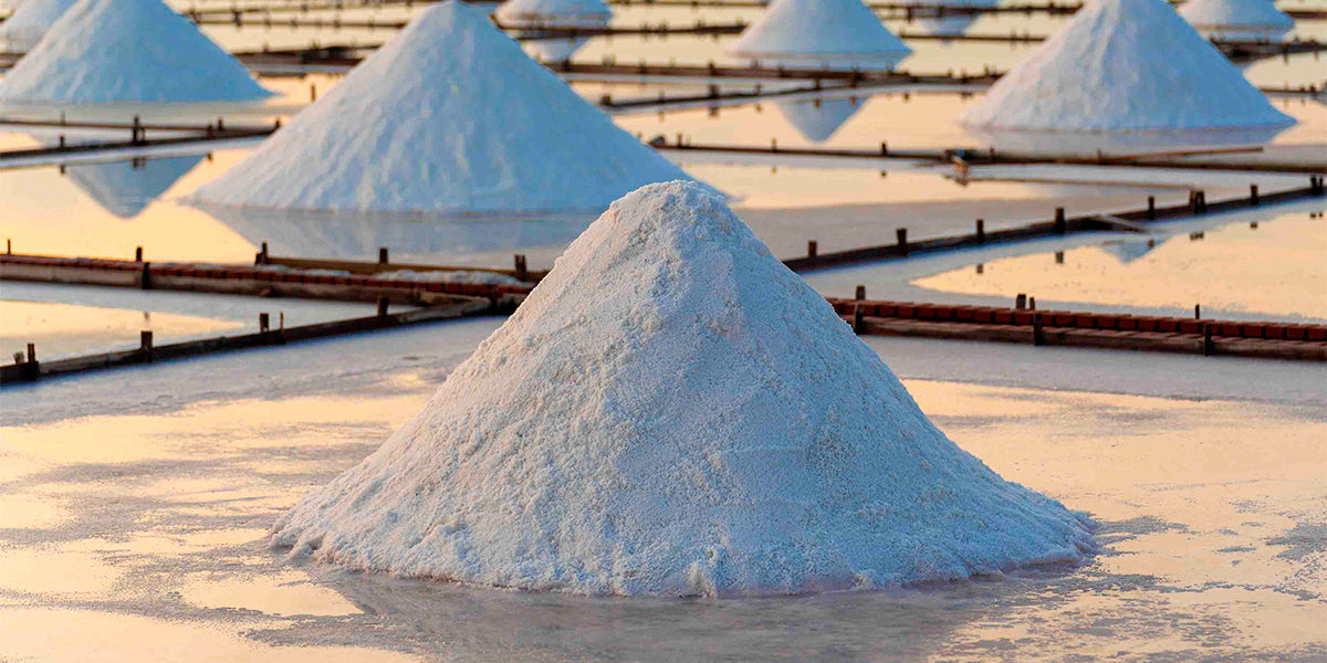 Salt: The Good, The Bad, & The Ugly