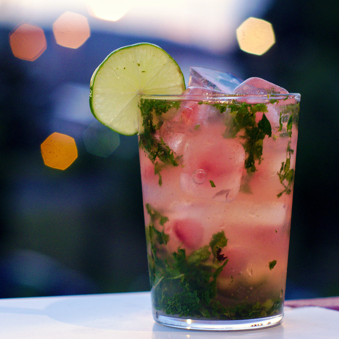 Watermelon Mojito Mocktail Recipe