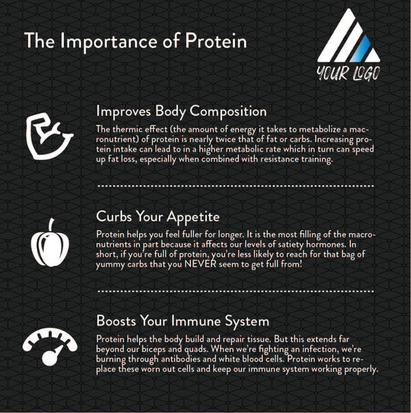 The Importance Of Protein